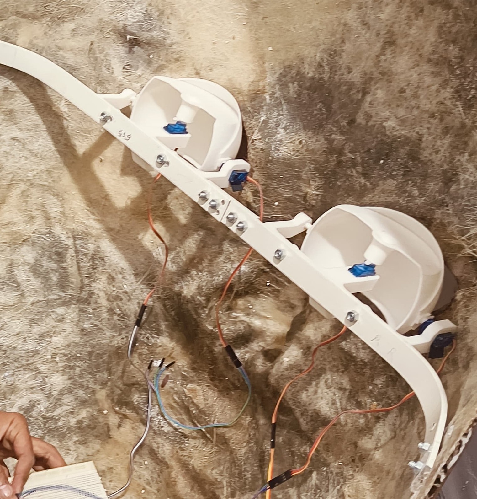 Dynamic Eye for Art and Sculpture